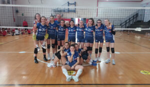 Scopri di più sull'articolo Teamvolley: Il punto sul settore giovanile